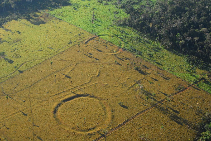 Illustration for article titled Nuevos análisis revelan cuál era el propósito de los enigmáticos círculos gigantes del Amazonas